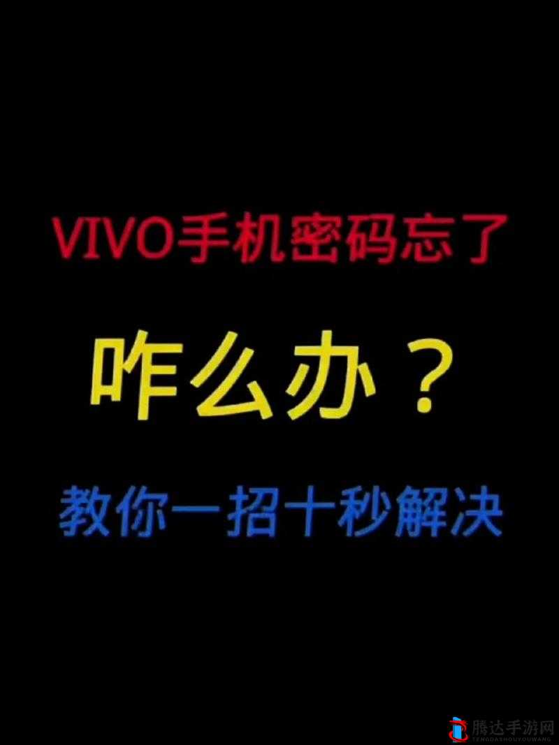 3.0.3 免费 vivo 版破解大全怎么下载：相关教程及注意事项