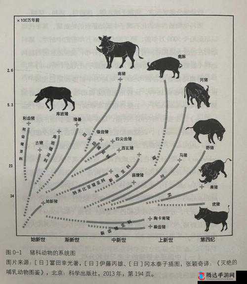 人马畜禽 CORPORATION 猪的奇妙发展历程