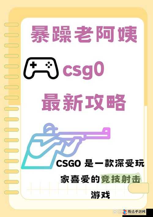 暴躁老阿姨 CSGO 技巧-从新手到高手的全面进阶指南