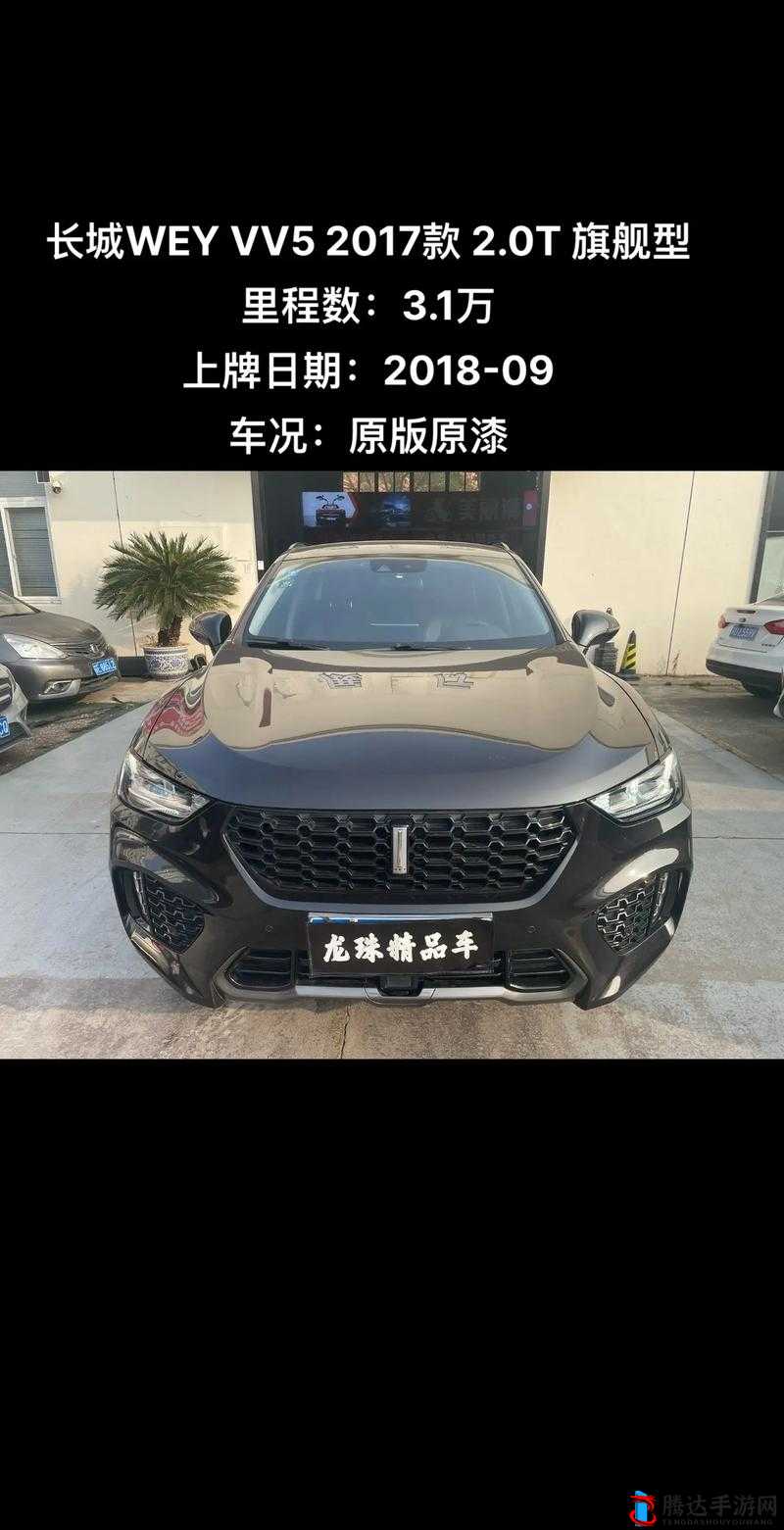 国产 SUV 标杆 WEY VV5 卓越性能视频展示