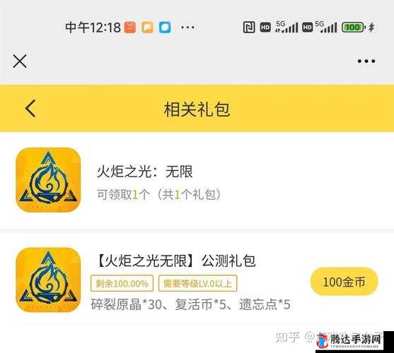 火炬之光无限游戏深度解析，兑换码高效使用与礼包领取全面攻略