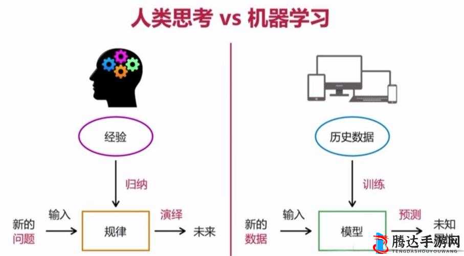 杂交 BUCSM 人类 SSBA 的研究探索与应用前景