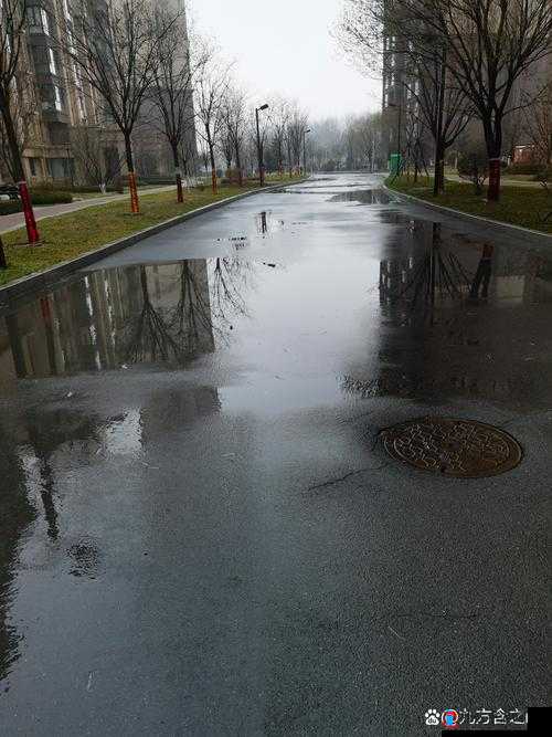 ：大雨初歇，地面湿漉漉：如诗如画的雨后景象