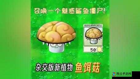 植物大战僵尸杂交版中鱼饵菇的独特表现及探讨