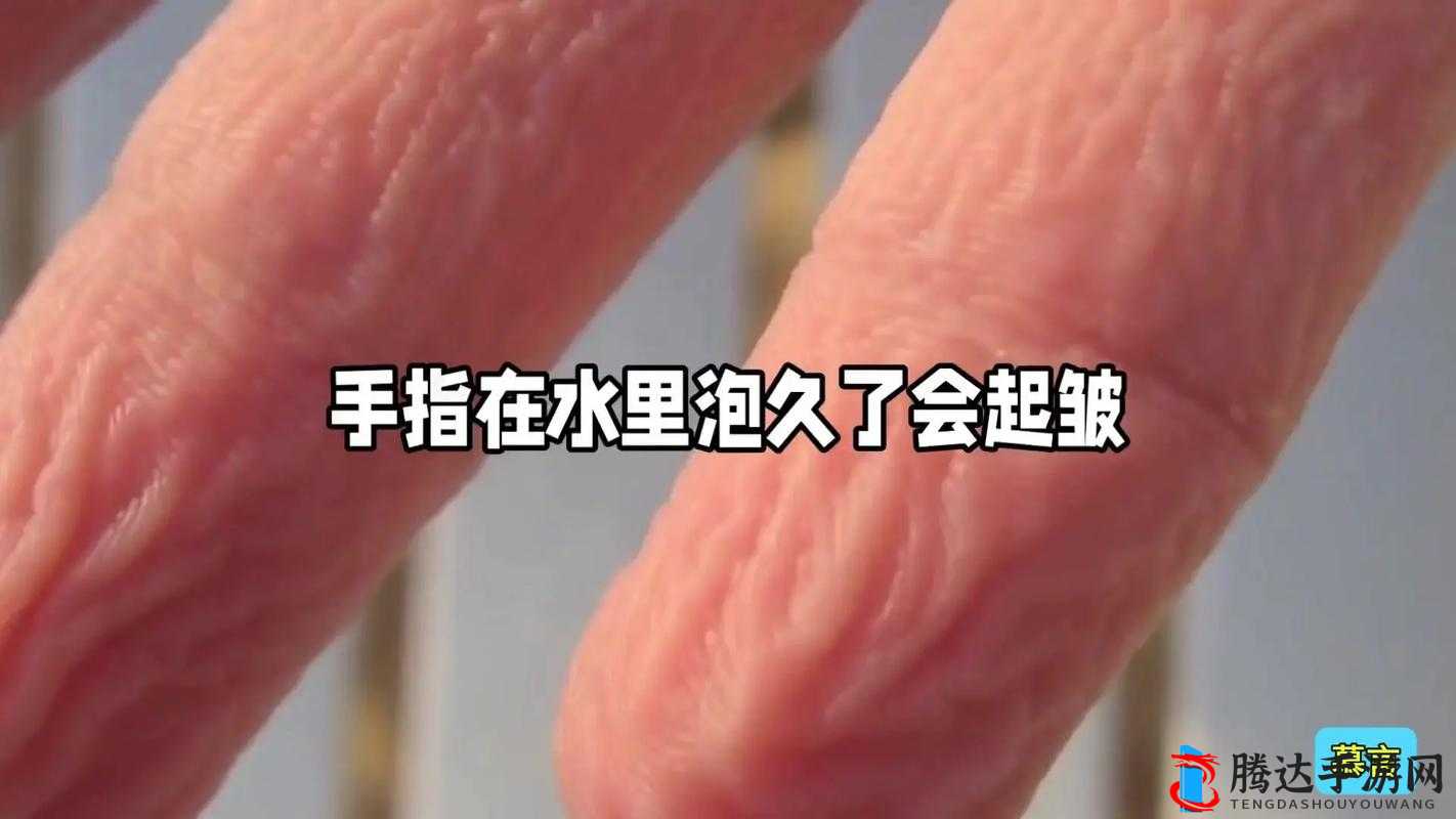 手指划入缝隙挖水：探究这一独特行为背后的意义与价值