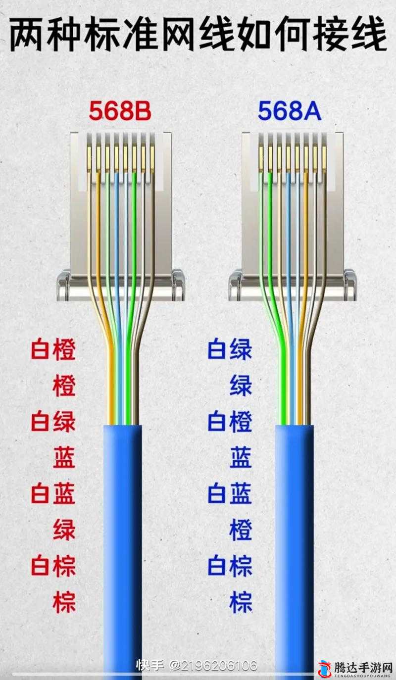 精品成品网线 1688 优质网线火热来袭