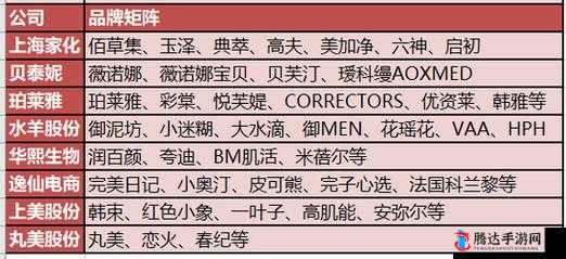 78w75 通道 1 技术的应用前景及相关探讨