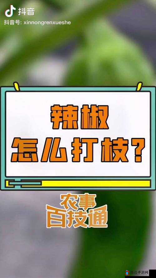 2021 最新热播日韩无码第 36 页辣椒资源精彩呈现