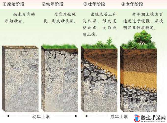 堆叠大陆游戏中土壤的获取方法与途径全面介绍