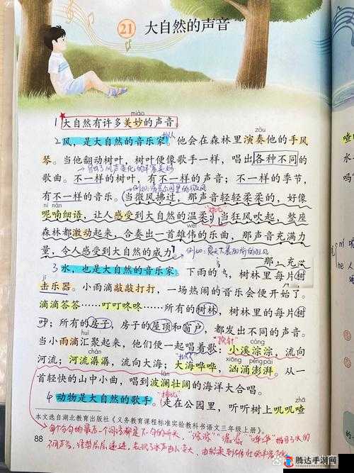 结合处发出粘腻的拍打声：一段令人浮想联翩的奇妙声响