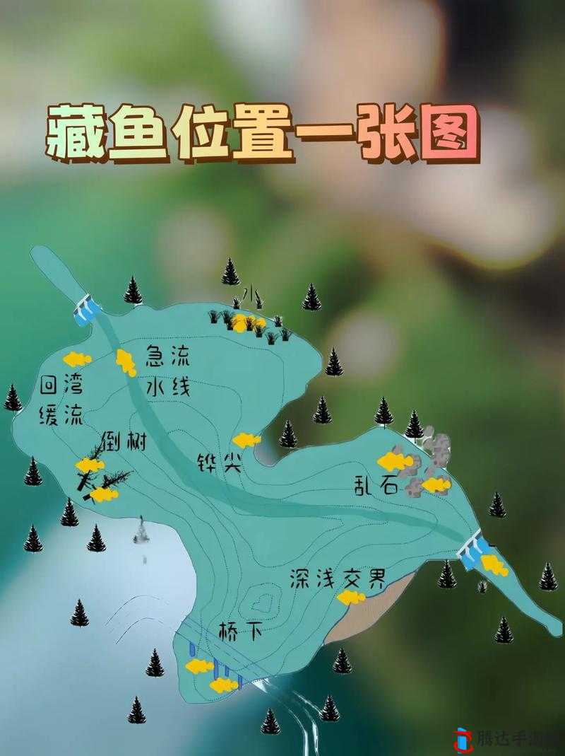 黑色沙漠钓鱼秘境深度探索，揭秘最佳钓鱼位置与技巧