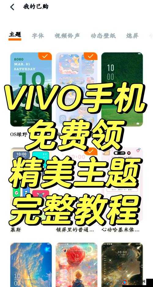 app3.0.3 免费 vivo 版大全装扮免费海量资源等你来探索