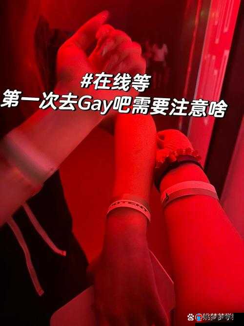 国产 GaysexChina 小蓝：探索独特的同性情感世界