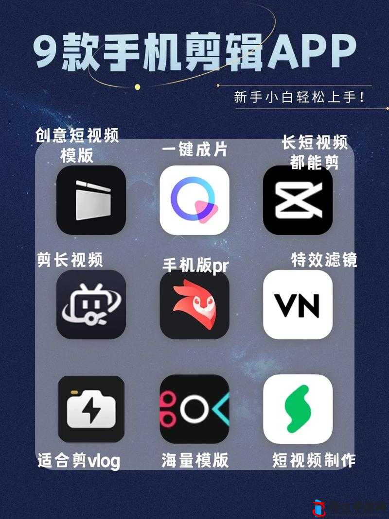 成品短视频 app 软件大全版：海量优质短视频应用尽在此