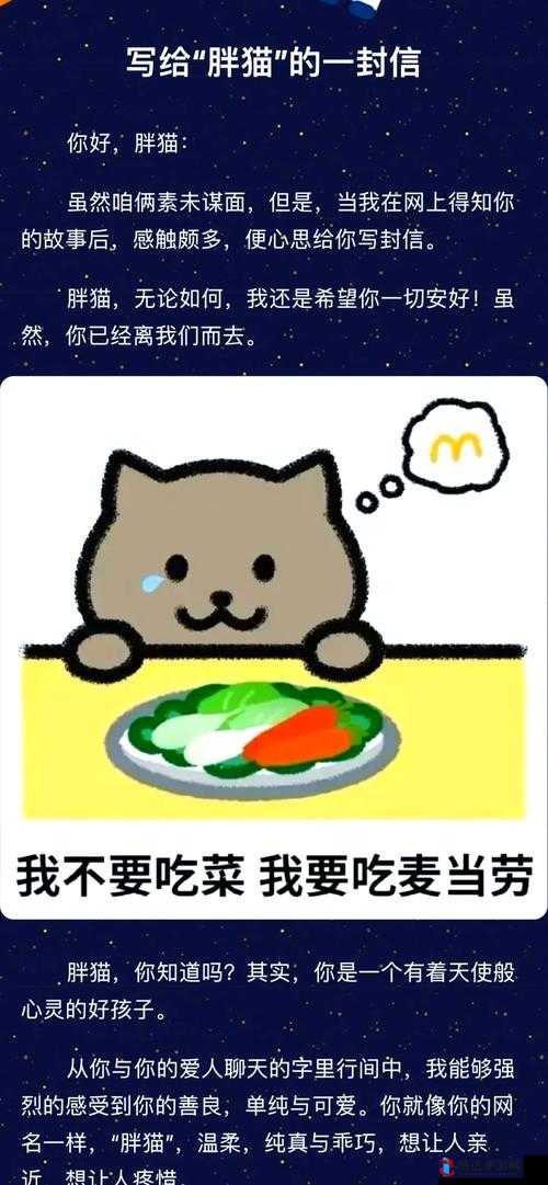 51 吃瓜今日吃瓜必吃胖猫：带你探索背后的精彩故事