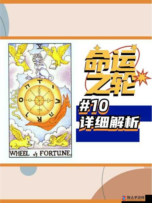 疼痛之轮 wheelofpain：关于其原理与影响的深入探讨