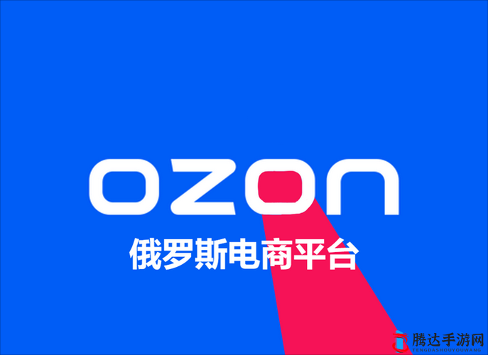 俄罗斯 ozON 选品：探寻跨境电商的无限潜力与机遇