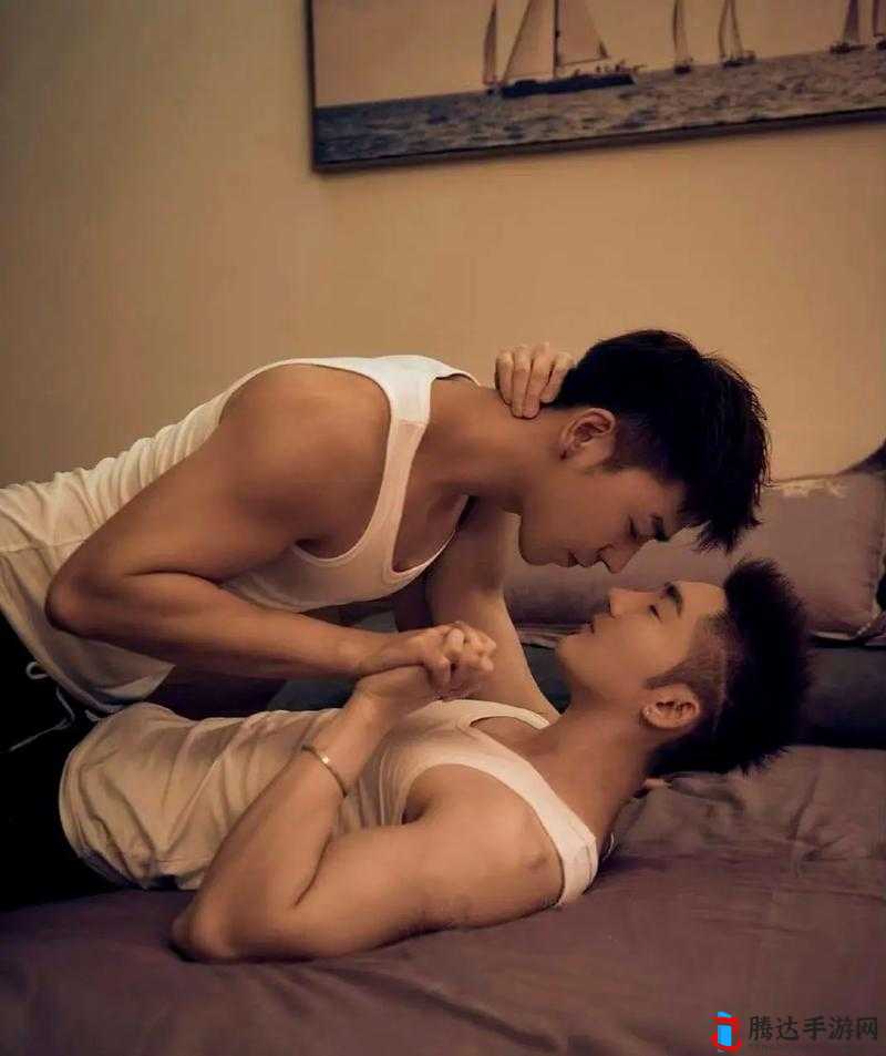 CHINESE 国产男男 GAY 片：展现独特同性情感魅力