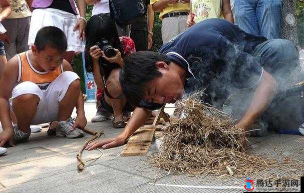 烟雨江湖蛐蛐捕捉攻略，解锁玩法、选择地点与天气、使用技巧详解