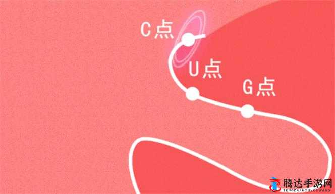 如何自 w 到高 c 亲身教学：详细步骤与技巧分享