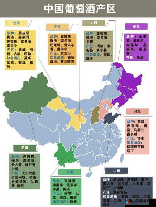 97 精产国品一二三产区：探索品质与创新的巅峰之旅