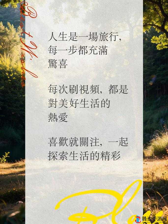 yw8826 ：开启未知精彩之旅的神秘密码