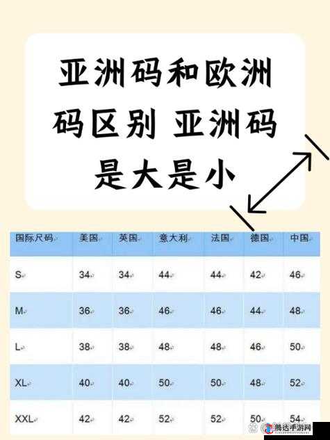 亚洲码一码二码三码区别详细解读：深入剖析其不同之处