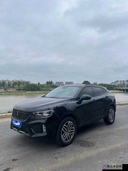 国产豪华 SUV WEYVV5：智能科技与卓越性能的完美结合