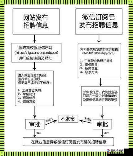 校园绑定 JY 收集系统高效管理与数据应用探讨