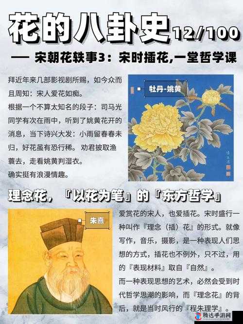 以花喻玉：插花弄玉内容梗概解读