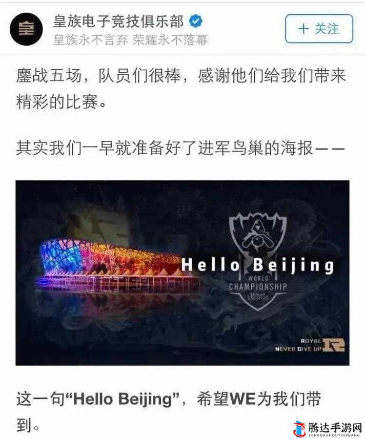 RNG 战队：电子竞技的辉煌与挑战