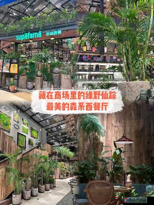 仙踪林 COMPANY：探寻独特的休闲餐饮之旅