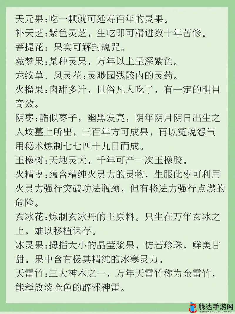 想不想修真，全面解析感悟道果的多样功能与实际应用