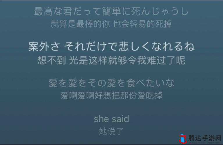 さようなら花泥棒さん歌词上线弹幕功能，网友热议情感共鸣与互动体验