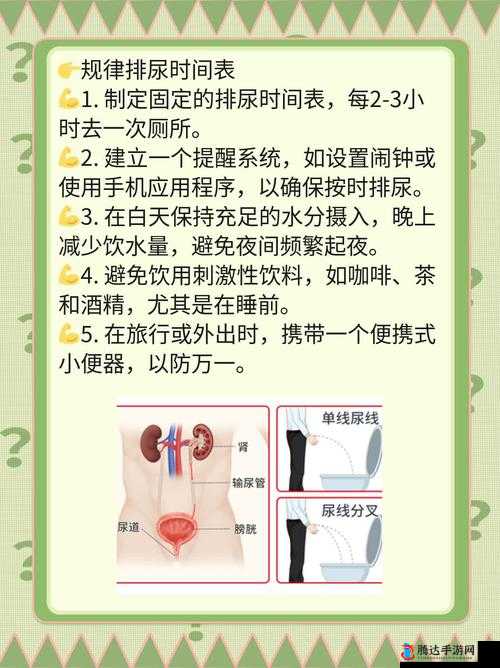 小便刚要尿出来就自动憋回去的原因及解决方法，了解背后的健康隐患与应对策略