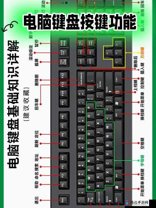 ELEX游戏中各按键功能如何？详解操作及其对资源管理有何关键影响？